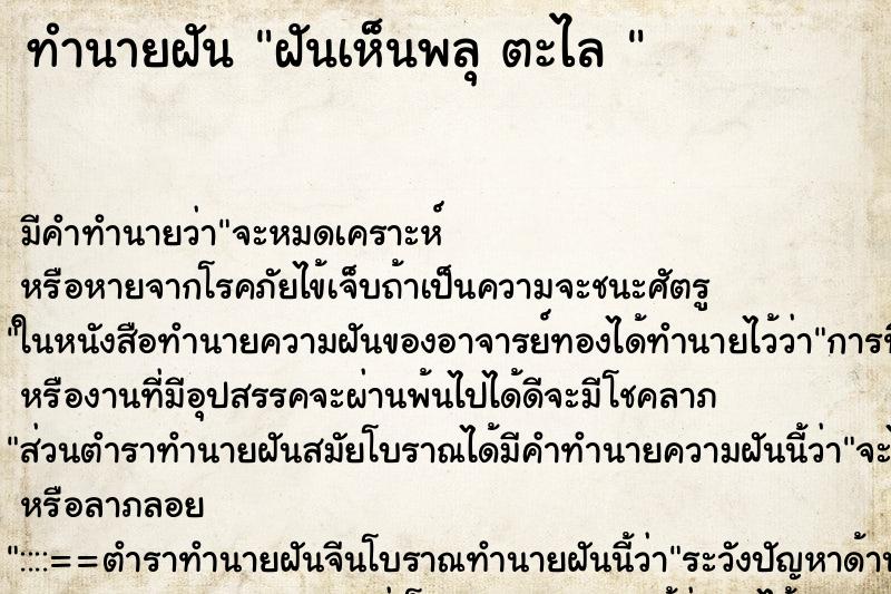 ทำนายฝันทำนายฝันฝันเห็นพลุตะไล